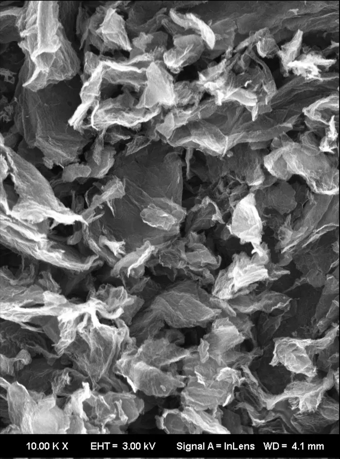 Boron-carbon-nitrogen aerogel SEM
